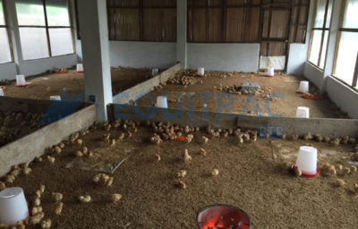 Construction et mise en route d’une ferme avicole